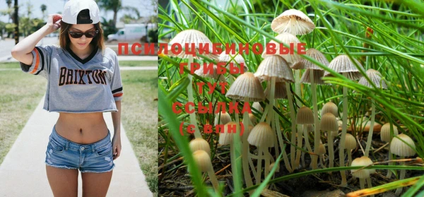 кристаллы Елабуга
