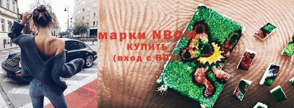 индика Нязепетровск