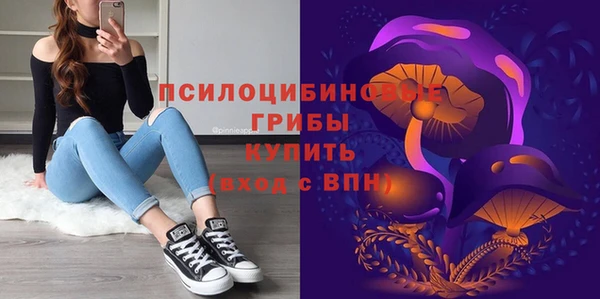 ПСИЛОЦИБИНОВЫЕ ГРИБЫ Гвардейск
